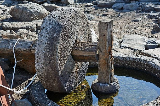 Stone-Pressed Oils